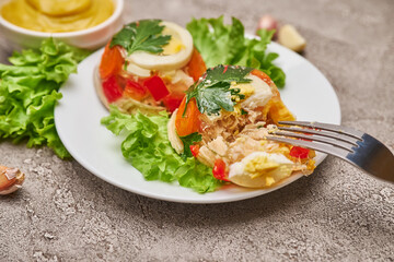 Portion of delicious chicken aspic on a plate isolated on concrete table