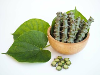 Tinospora Cordifolia and leaf in wooden bowl on white background. closeup photo, blurred.