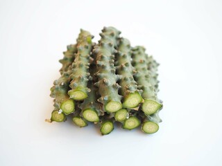 Tinospora cordifolia herb Thai on white background. closeup photo, blurred.