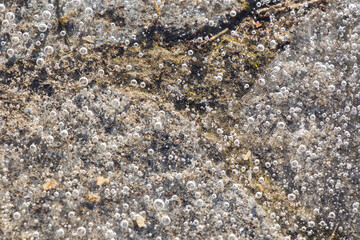 Air bubbles in the frozen water