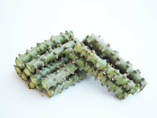 Tinospora Cordifolia isolated on white background. closeup photo, blurred.