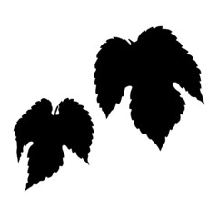 Two hop leaves, leaf silhouette
