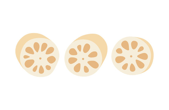 蓮根 の画像 9 165 件の Stock 写真 ベクターおよびビデオ Adobe Stock 蓮根 の画像 9 165 件の Stock 写真 ベクターおよびビデオ Adobe Stock