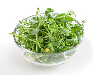 Fresh microgreens of pea in glass bowl isolated on white background