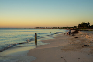 sea ​​shore

