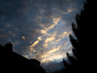 Sunset Sky Sunny Beautiful Sunset Clouds Trees  Blue Sky