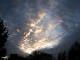Sunset Sky Sunny Beautiful Sunset Clouds Trees  Blue Sky