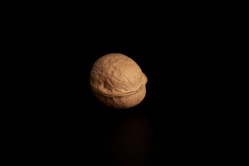 One walnut in shell in the twilight on a black background