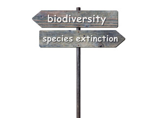 Wegweiser biodiversity - species extinction
