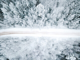 Winter snow-covered road top view . Winter landscape. Winter background. Snow-covered Christmas trees.