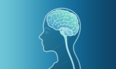 woman face side vector illustration silhouette x-ray line transparent brain