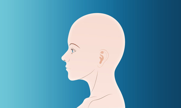 woman face side vector illustration head line