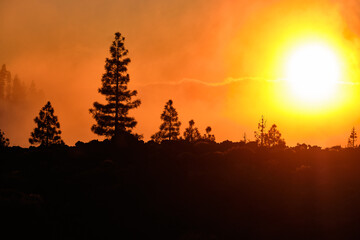 Sonnenuntergang am Fuss des Teide Teneriffa