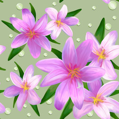 Plakat Delicate lilies on a colored background.Lily pattern with decor on a colored background.