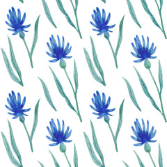 Watercolor pattern with blue flowers and leaves isolated on white background.