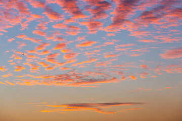 the sky looks great with pink clouds