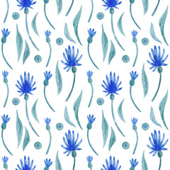 Fototapeta na wymiar Watercolor pattern with blue flowers and leaves isolated on white background.