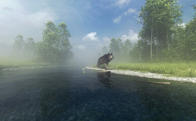 Obraz na płótnie Canvas Wolf walks on a river bank in misty summery countryside. 3D render.