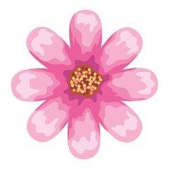 flower watercolor pink