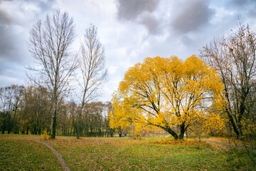 Obraz premium A trail in the park. It is the end of summer and the leaves are turning to yellow.