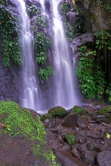 waterfall in the jungle