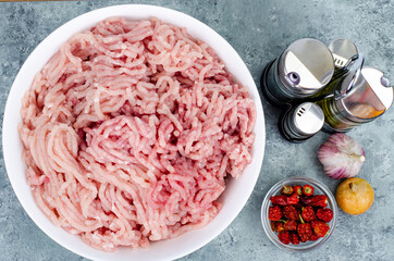 Plate with fresh minced meat, spices for cooking. Studio Photo