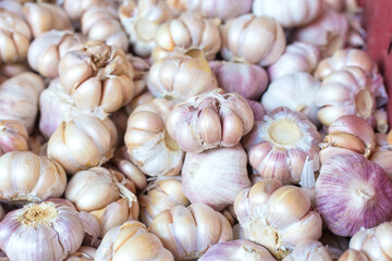 Fresh white garlic heads put on the table in the market. It is a Thai spices or cooking ingredient in Thai food.