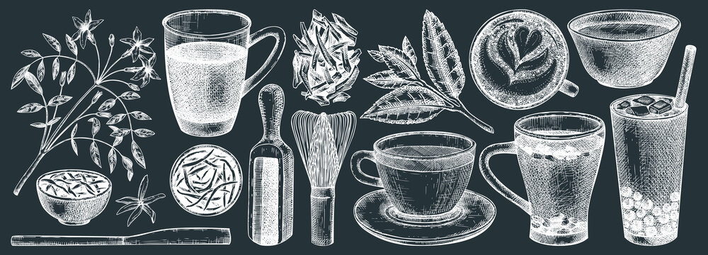Hand-sketched tea drinks and ingredients collection on chalkboard. Vector sketches of hot beverage cups, dried leaves, jasmine blossoms. Popular tea drawings for menu design isolated on white