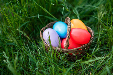 Colorful easter eggs in basket on green grass outdoor. Easter background concept. egg hunt.