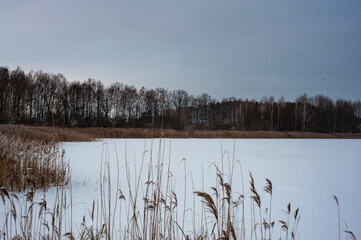 Giant panorama of snow-covered ice-river among a frozen taiga forest in a winter