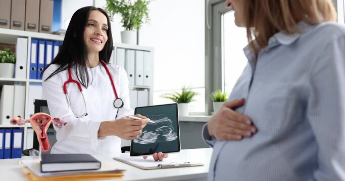 Gynecologist shows ultrasound scan of fetus to pregnant woman
