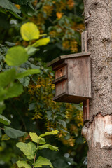 Série de photos de la Flore