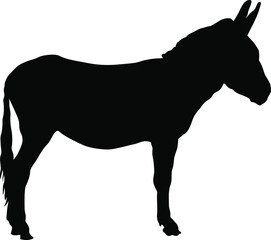 Donkey silhouette. Domestic cattle. Vector illustration isolated on white.