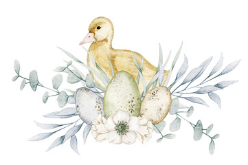 Watercolor illustration easter card with chick, eggs and eucalyptus. Isolated on white background. Hand drawn clipart. Perfect for card, postcard, tags, invitation, printing, wrapping.