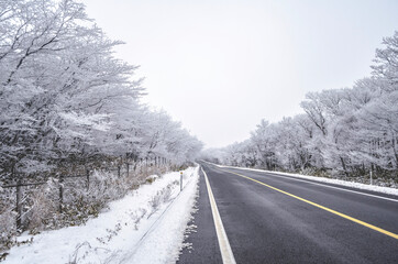 Obraz premium road in winter