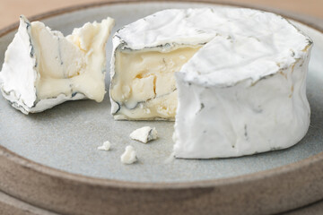Delicious soft goat cheese with white mold and ash. A gourmet snack for wine.  Selective focus