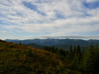 summer morning at charphatian mountains with view on chornogora