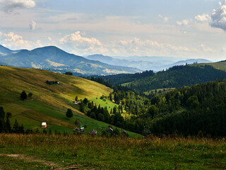 Fototapeta na wymiar green summer landscape of Charpathian Mountains 