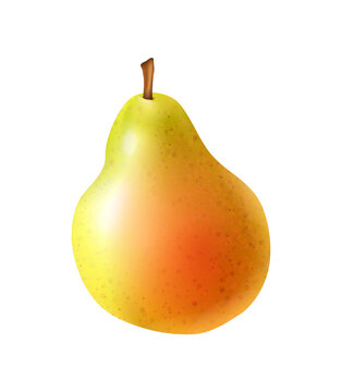 Realistic Pear Illustration