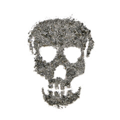 Skull made of ashes isolated on white background   
