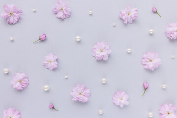 Fototapeta na wymiar Fresh cherry blossom sakura flowers and white pearls on pastel pink background. Abstract natural floral pattern. Spring concept. Minimalist flat lay, top view