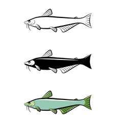 Fish vector icon set. Isolated graphic logo design element. Aquatic sea wildlife animal. Doodle monochrome drawing template. Outline sketch sticker. Colouring page for kids. Cute ocean habitant.