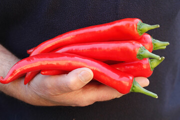 Red hot chilli peppers.