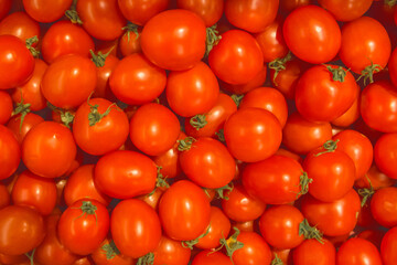 Red Tomatoes Healthy Organic Fresh Healthy Food Background