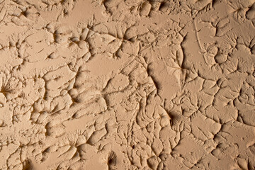 light brown concrete wall texture macro close up