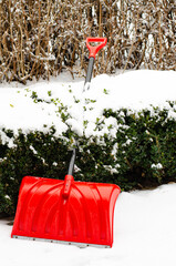 Snow shovel in the yard. Studio Photo