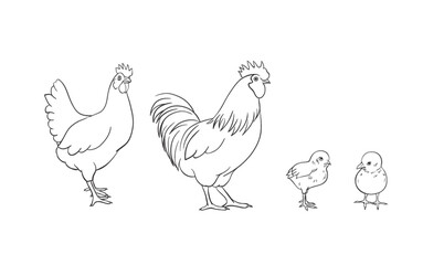 Fototapeta na wymiar Vector set of hand drawings of hens and eggs.