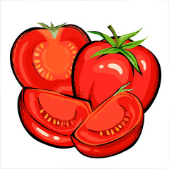 Ripe fresh red tomato fruits whole and halves, hand drawn vector illustration isolated on white background. Tomato vegetables image for food, ketchup sauces and juice packaging design.
