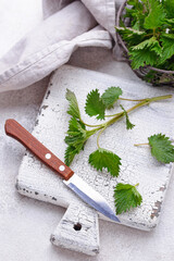 Young fresh nettle, spring herbs for cooking