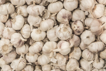 White garlic vegetable raw ingredient food organic background